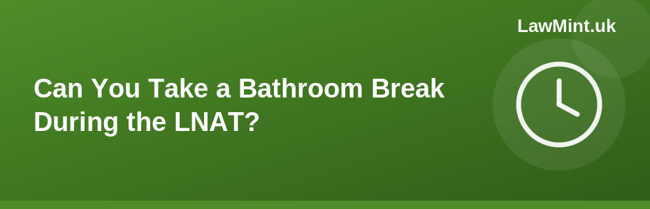 Can You Take a Bathroom Break During the LNAT?